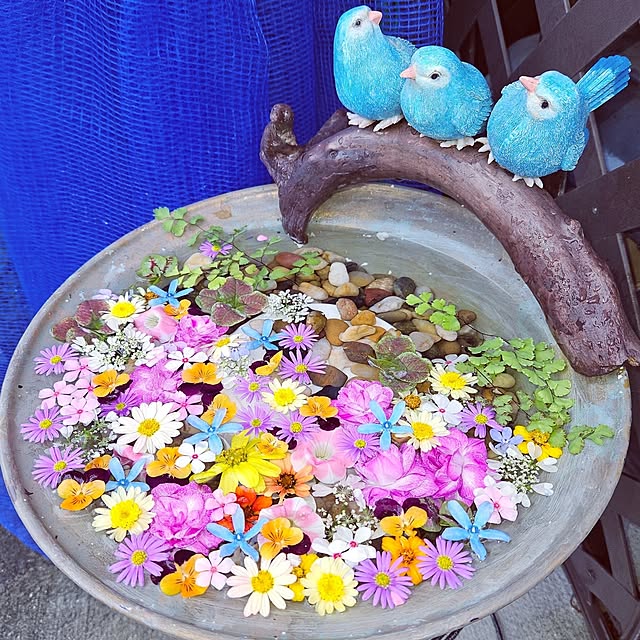 mocomocoさんの実例写真