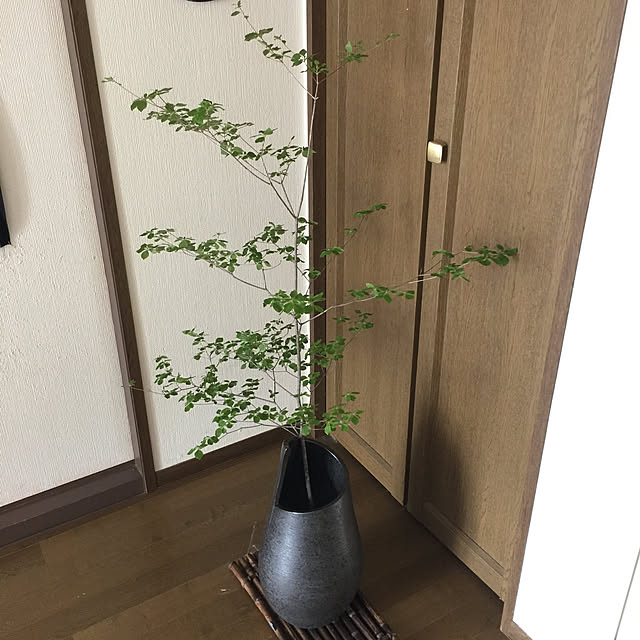 jobnekoさんの実例写真