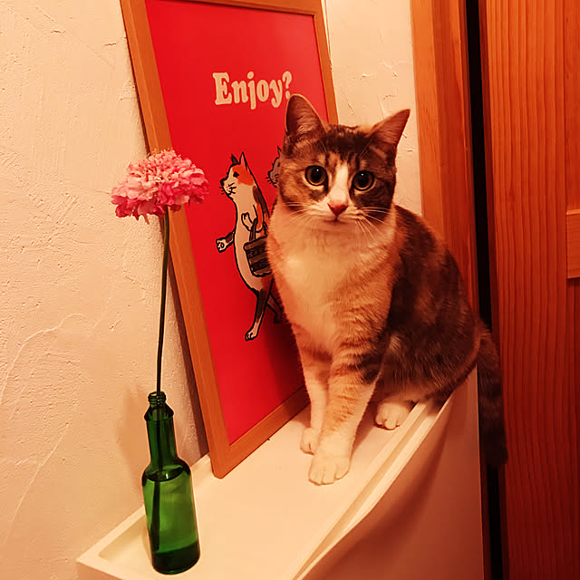 sakurasakuさんの実例写真