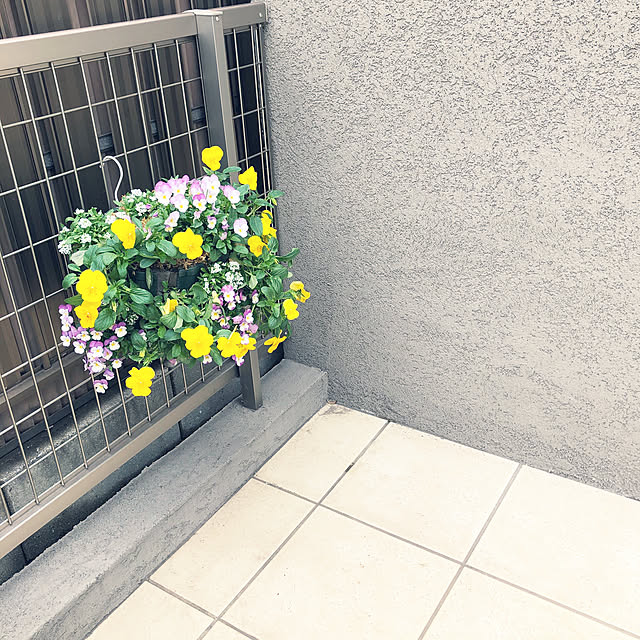 maririさんの実例写真