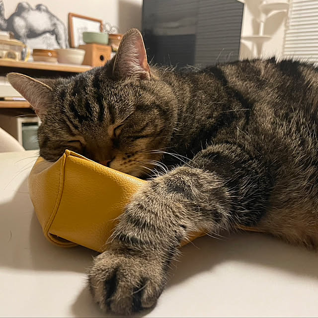 mikomaruさんの部屋