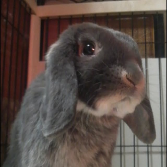 kimikoさんの実例写真