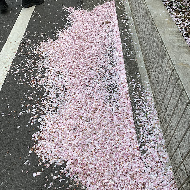 masakoさんの実例写真