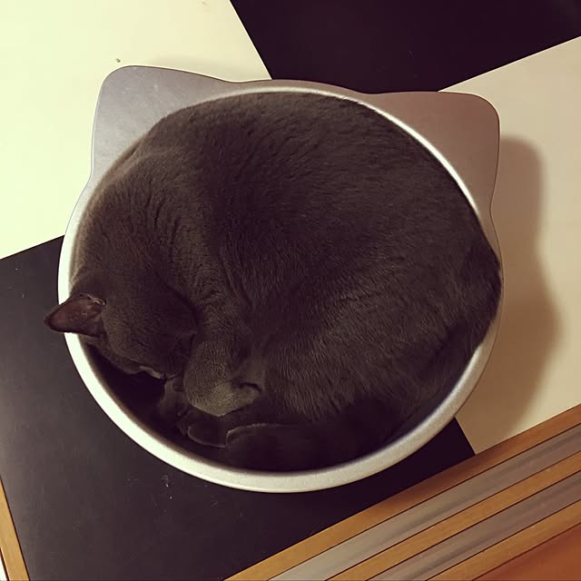 Shojiさんの実例写真