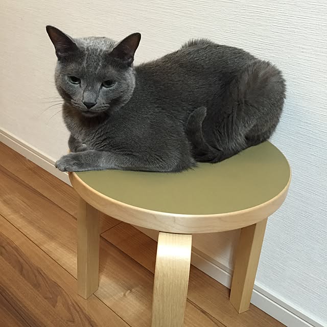 Ryokoさんの実例写真