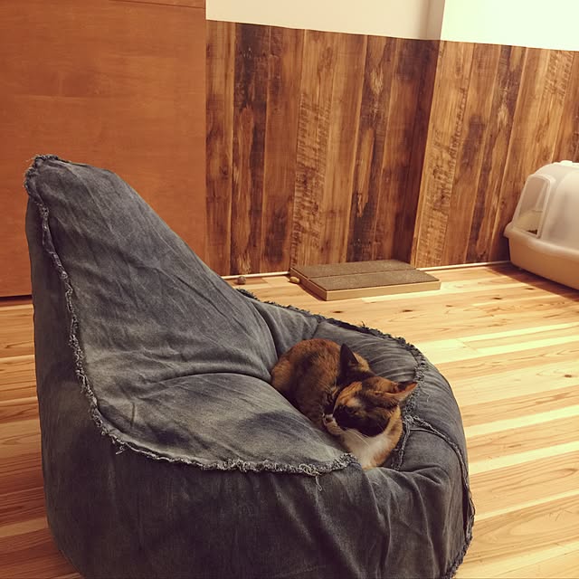 paipan720さんの実例写真