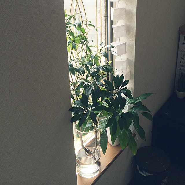 oliveandcheeseさんの実例写真
