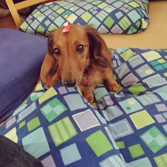 andさんの実例写真