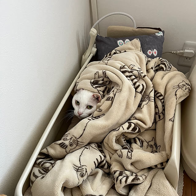 hanaさんの実例写真