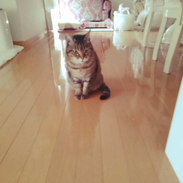 lilyさんの実例写真