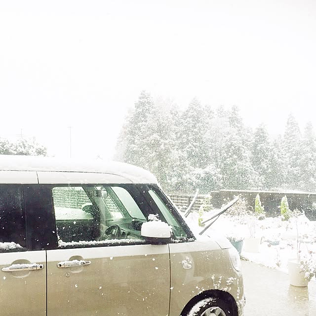 mapleさんの実例写真