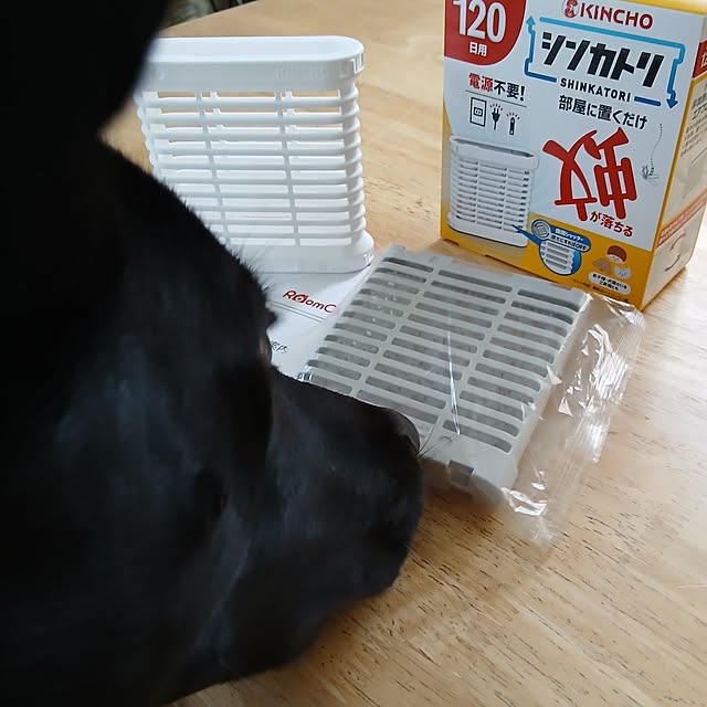 chidorinさんの部屋