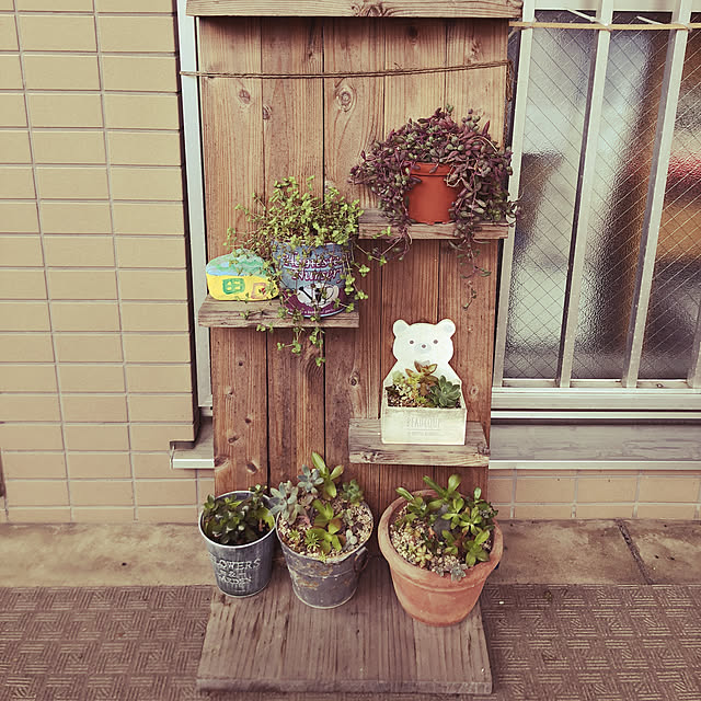 玄関/入り口/ハンドメイド/多肉植物/DIYのインテリア実例 - 2018-05-30 17:01:20