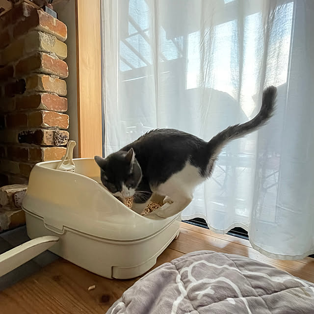 nekosamaさんの部屋
