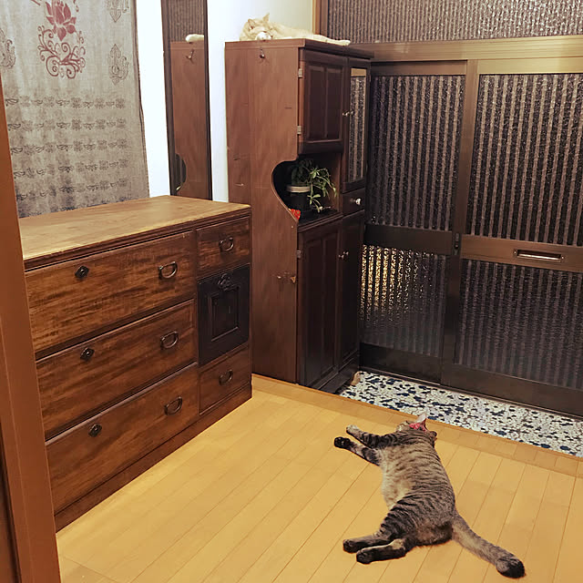 mikan161さんの実例写真