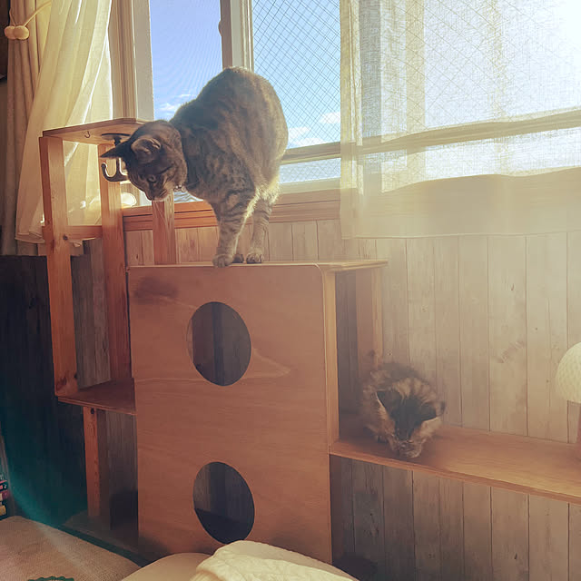Mさんの部屋