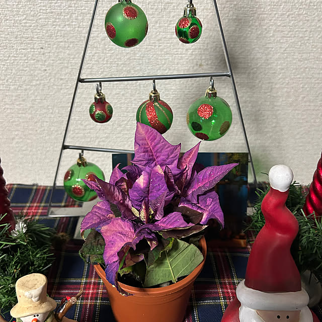 ritsukoさんの部屋