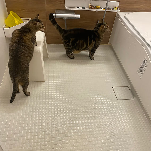 mikomaruさんの実例写真