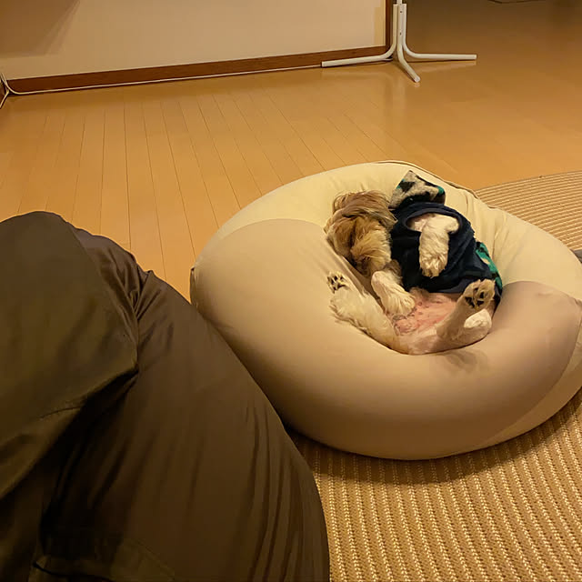 my_homeさんの実例写真