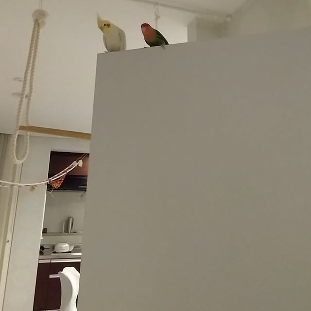 toratanさんの実例写真