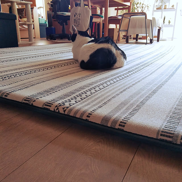 futukoさんの実例写真
