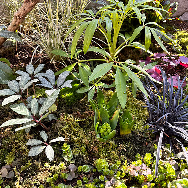 kyoko1124koさんの部屋