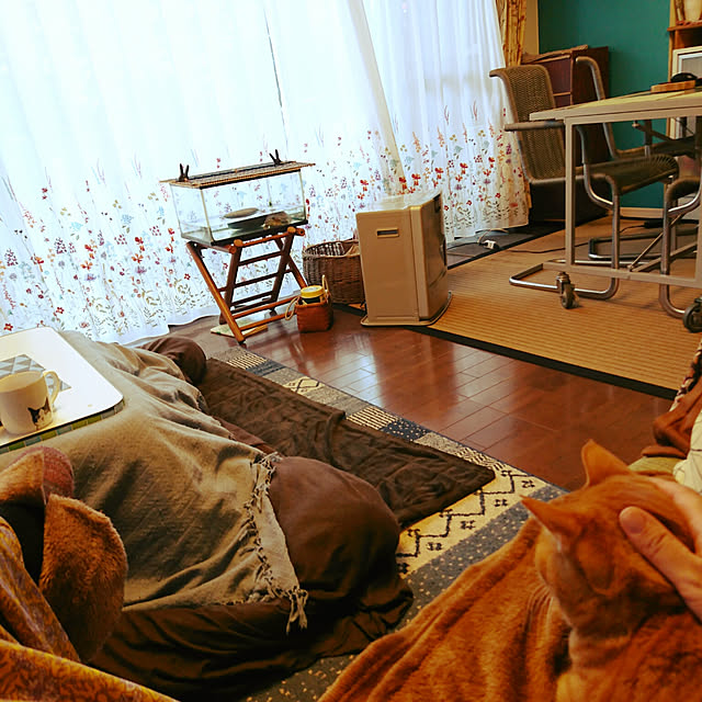 okyosan101さんの実例写真