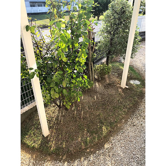 nono.0129さんの実例写真