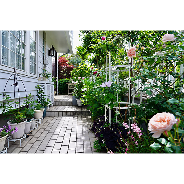 haruisabelさんの部屋