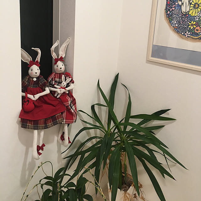 mk7894さんの実例写真