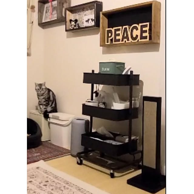 lovepeaceさんの部屋