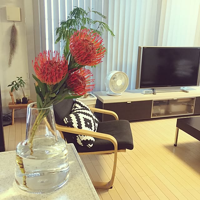 maomaoさんの実例写真