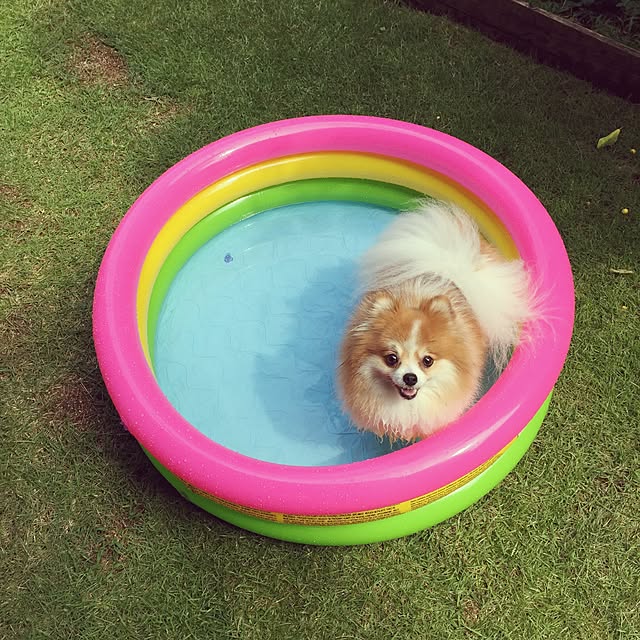 maopiさんの実例写真
