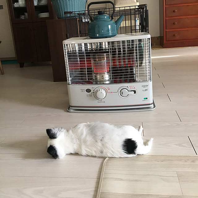ohanaさんの実例写真
