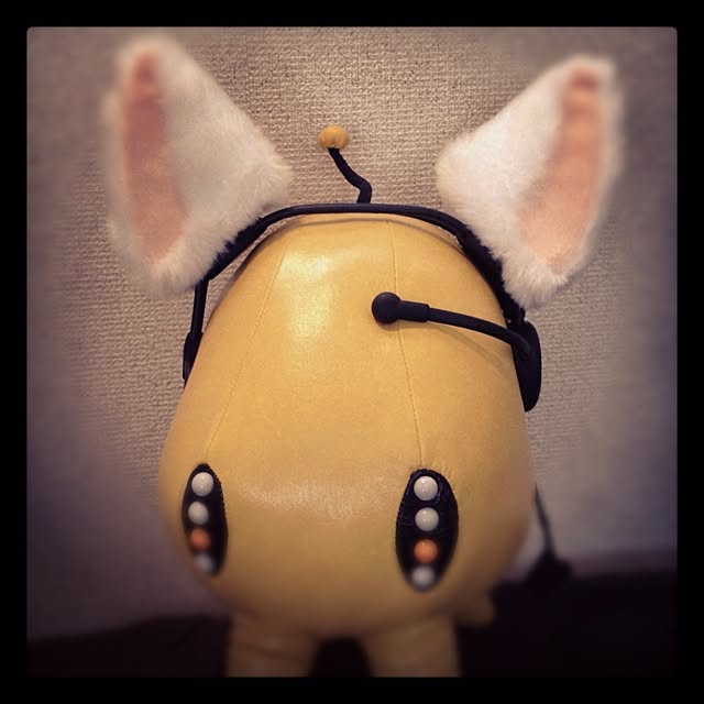 Sayakaさんの実例写真