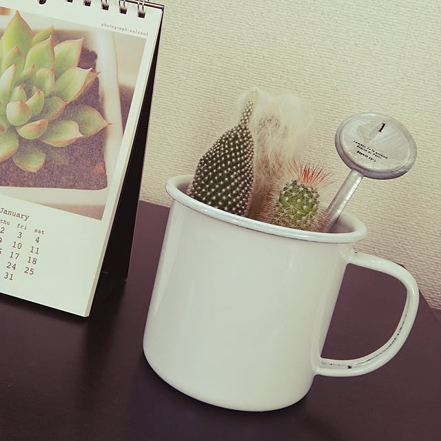 リビング/多肉植物のインテリア実例 - 2014-11-18 18:07:29