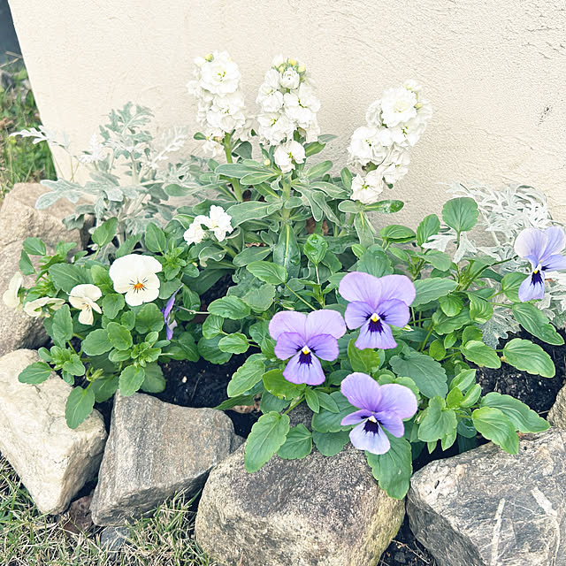 naaayuuさんの実例写真