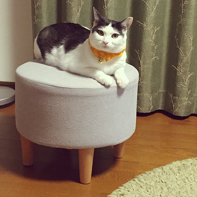 miiko3さんの実例写真