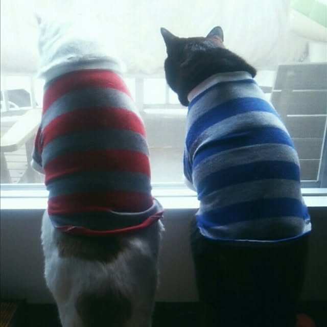 ugさんの実例写真