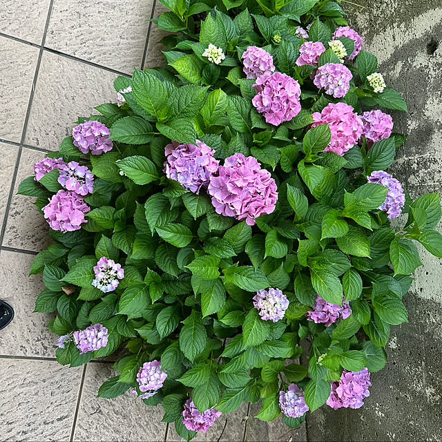 satoruさんの実例写真