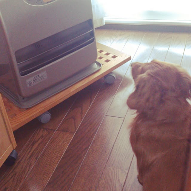 satoさんの実例写真