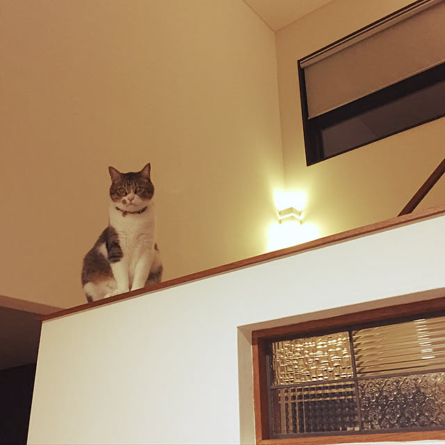 Kasumiさんの実例写真