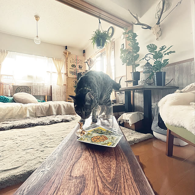Mさんの実例写真