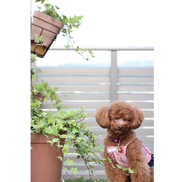 ISM.mumさんの実例写真