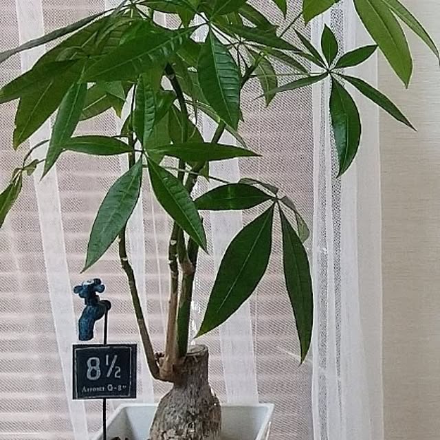 meiさんの部屋