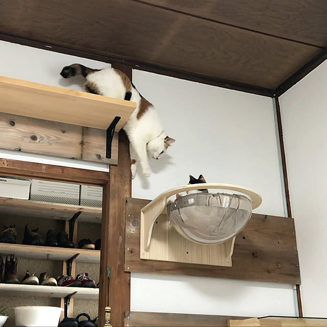 tokekoさんの実例写真