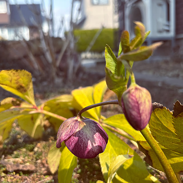 usagiさんの部屋