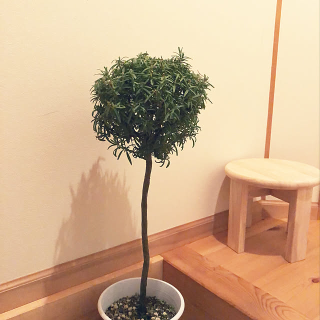 miyaさんの実例写真