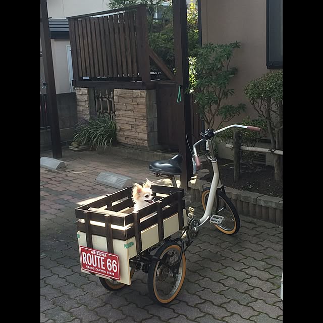 Shinさんの実例写真