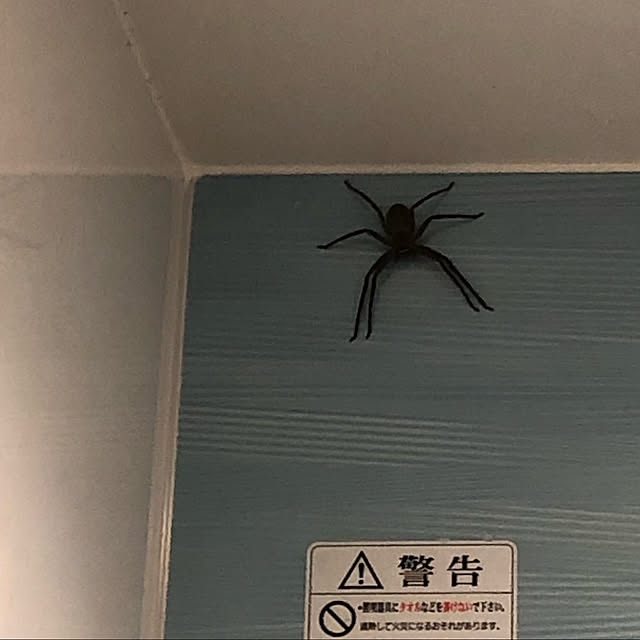 maron915さんの実例写真